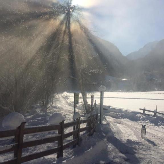 Alpen Apart Michael Mayrhofen Dış mekan fotoğraf